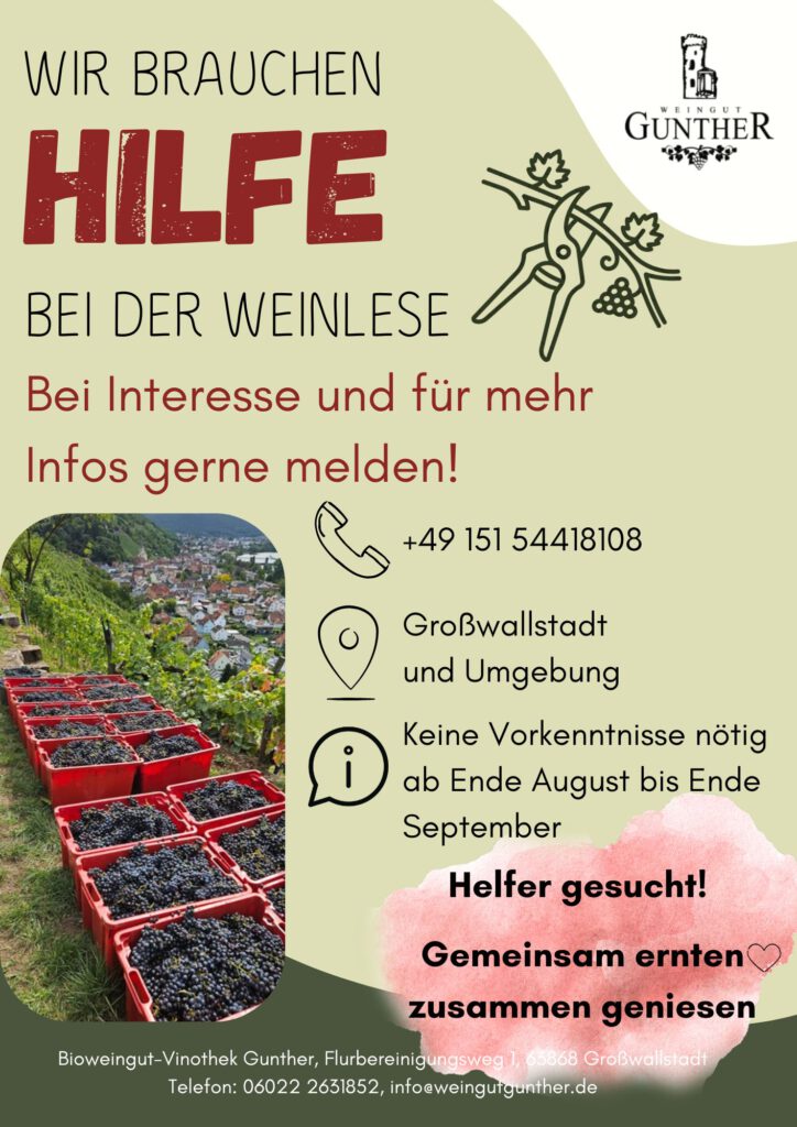 Weinlese